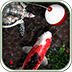 iFish Pond HD