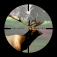 Alaskan Hunt