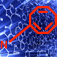 Organic Chemistry Audio Flashcards