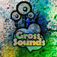 Gross Sound