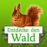 Die kleine Waldfibel
