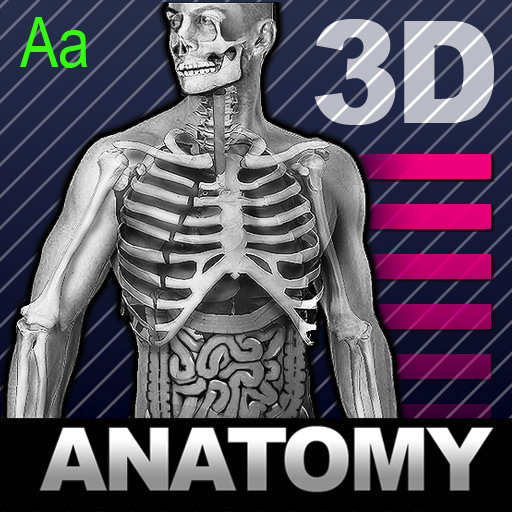 HumanBody2