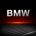BMW Remote
