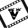 VideoClip