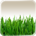 Grazing Web Browser