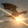 HuntTheDragon