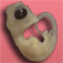 Embryology