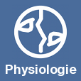 Physiologie