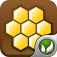 HoneyBear 2