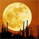 Star & Planet Finder