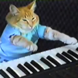 KeyboardCat