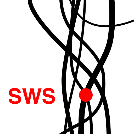Sonic Wire