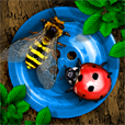 Bugs and Buttons