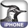 iPhone Prog