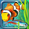 Fish Farm 2