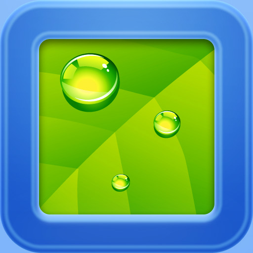 Todew