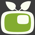 Video in Video