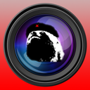 SlothCam WebCam Browser