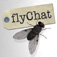 FlyChat