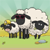 sheeps premium