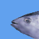 StrongFish
