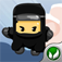 Ninja Training