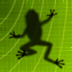 Ancient Frog HD