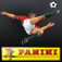 Top Team Panini 60