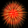 Fireworks at Night