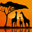 GEO Walk