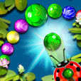 ^o^ Ladybug Ball HD^o^