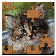 Jigsaw Puzzles!