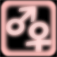 lovelyCamera