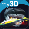 360 Sharks