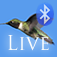 Remote Live