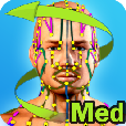 Easy Acupuncture 3D -MED