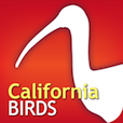 Audubon