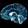 Brain Wave - 23 Binaural Programs
