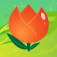 TulipWorld