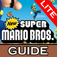NSMB Guide