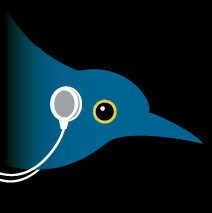 birdJam