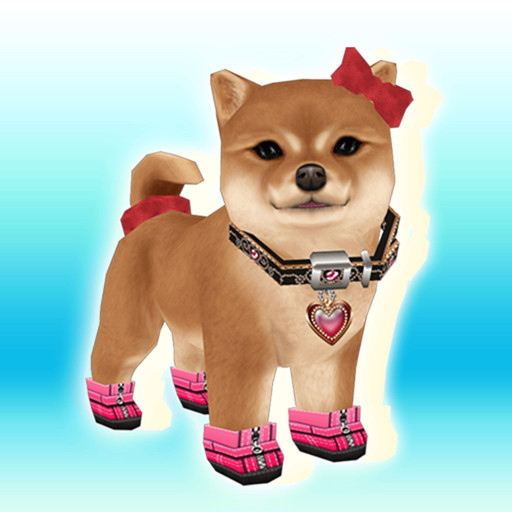 My Dog My Style