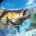 Fishing Travel