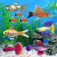 Fish Tycoon