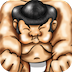 A Sumo Fight