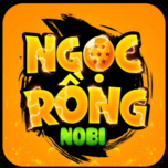 NRO NoBi