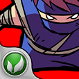 Elusive Ninja: The Shadowy Thief