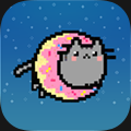 Flying Cat