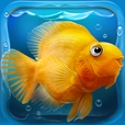 iQuarium