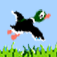 DuckHunt